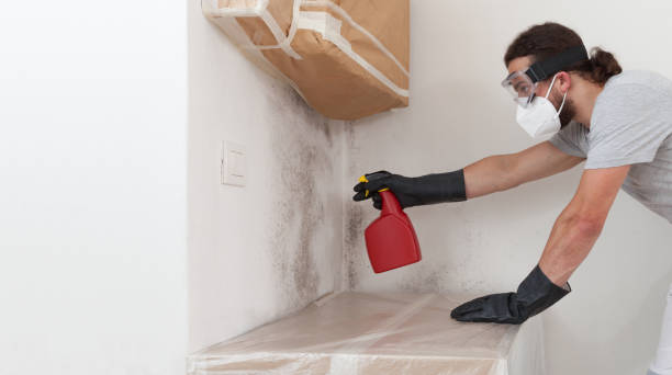 Professional Crawl Space Mold Remediation technician working in Lake Elmo, MN